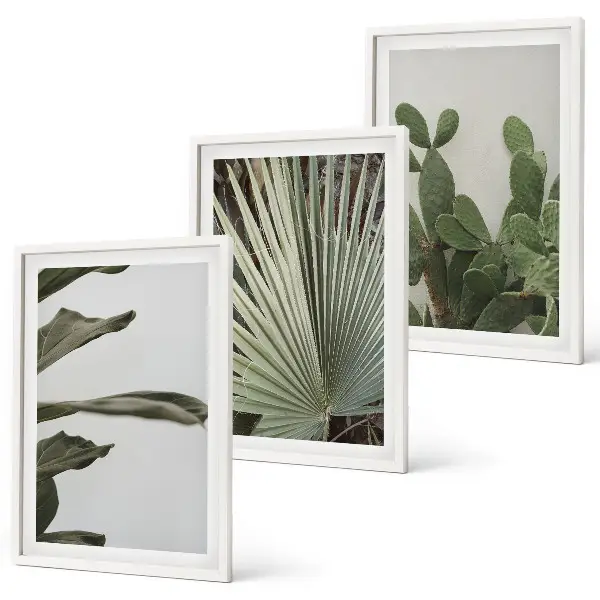 Set de tablouri decorative cu frunze de plante tropicale pastelate