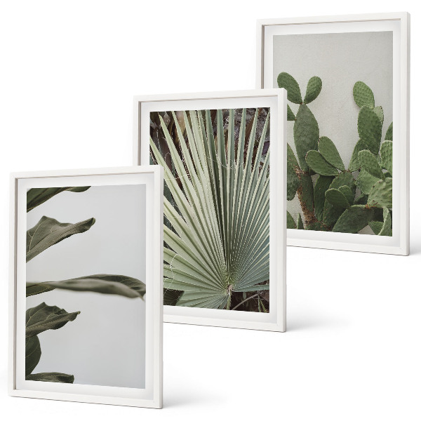 Set tablouri decorative Frunze de plante tropicale pastelate