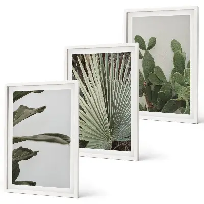 Set de tablouri decorative cu frunze de plante tropicale pastelate