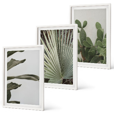Set tablouri decorative Frunze de plante tropicale pastelate