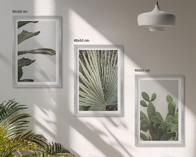Set tablouri decorative Frunze de plante tropicale pastelate