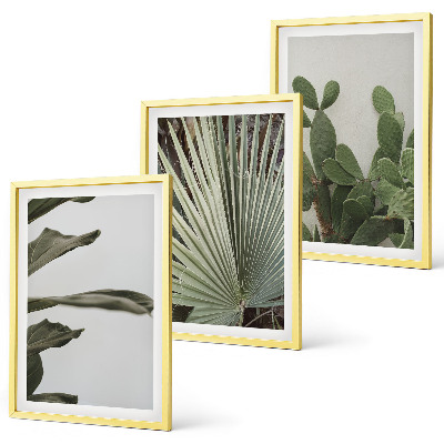 Set tablouri decorative Frunze de plante tropicale pastelate