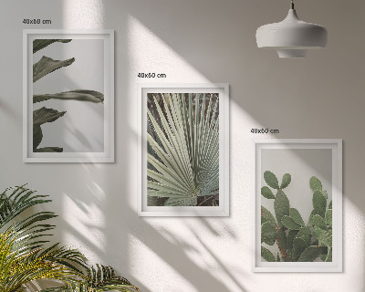 Set tablouri decorative Frunze de plante tropicale pastelate