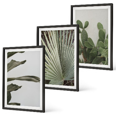 Set tablouri decorative Frunze de plante tropicale pastelate