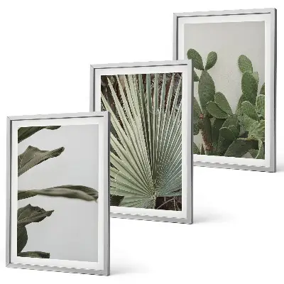 Set de tablouri decorative cu frunze de plante tropicale pastelate