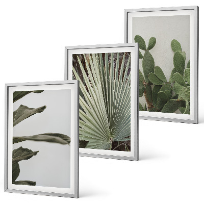 Set tablouri decorative Frunze de plante tropicale pastelate