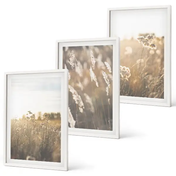 Set de tablouri decorative peisaj cu iarbă, flori și lumină caldă