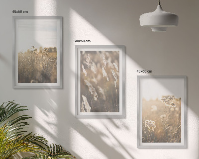 Set tablouri decorative Peisaj iarbă flori căldură