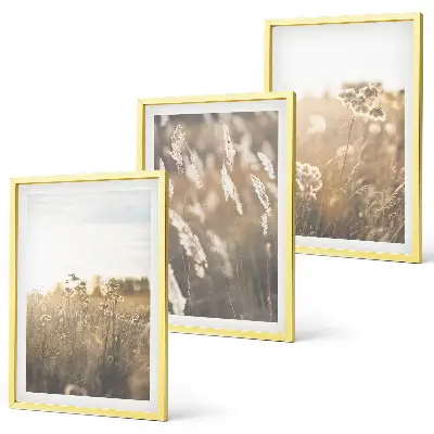 Set de tablouri decorative peisaj cu iarbă, flori și lumină caldă