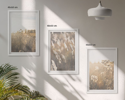 Set tablouri decorative Peisaj iarbă flori căldură