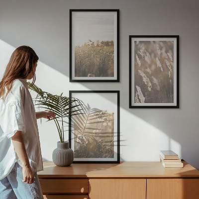 Set tablouri decorative Peisaj iarbă flori căldură