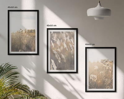 Set tablouri decorative Peisaj iarbă flori căldură