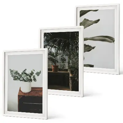 Set tablouri decorative cu plante rustice în ghiveci