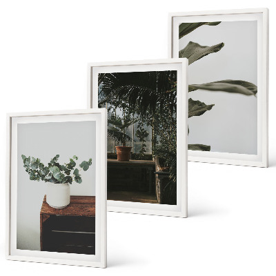 Set tablouri decorative Plante rustice în ghiveci