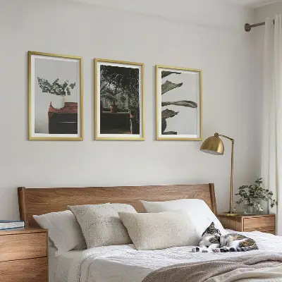 Set tablouri decorative cu plante rustice în ghiveci