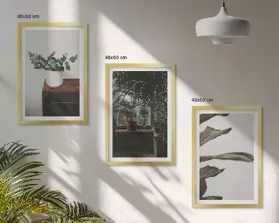 Set tablouri decorative cu plante rustice în ghiveci