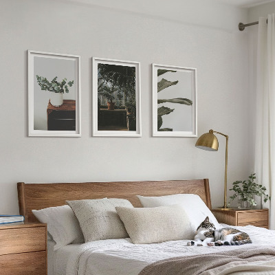 Set tablouri decorative Plante rustice în ghiveci