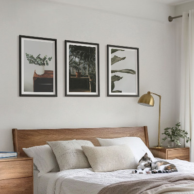 Set tablouri decorative Plante rustice în ghiveci
