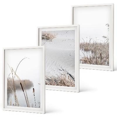 Set tablouri decorative Vegetația acvatică vara