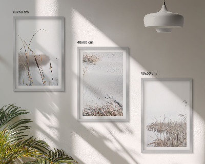 Set tablouri decorative Vegetația acvatică vara