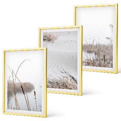 Set tablouri decorative Vegetația acvatică vara