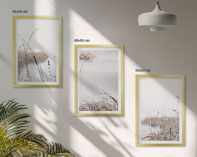 Set tablouri decorative Vegetația acvatică vara