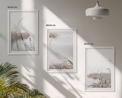 Set tablouri decorative Vegetația acvatică vara