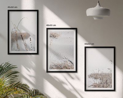 Set tablouri decorative Vegetația acvatică vara