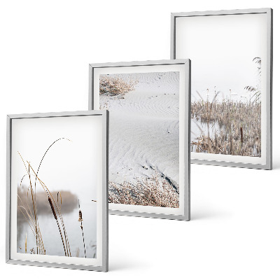 Set tablouri decorative Vegetația acvatică vara