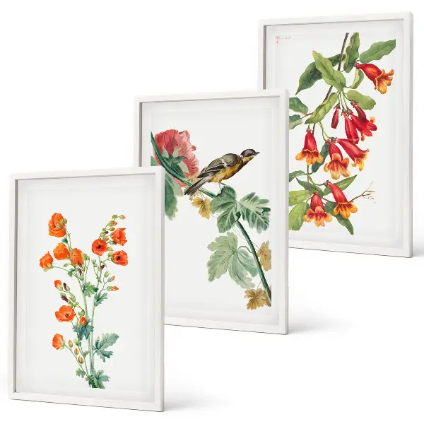 Set de tablouri decorative cu flori pictate și o pasăre