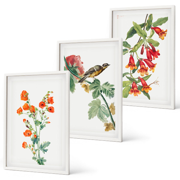 Set tablouri decorative Flori pictate și o pasăre