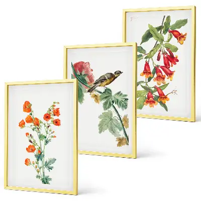 Set de tablouri decorative cu flori pictate și o pasăre
