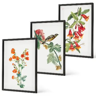Set de tablouri decorative cu flori pictate și o pasăre