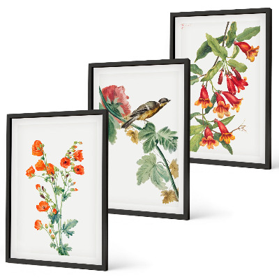 Set tablouri decorative Flori pictate și o pasăre