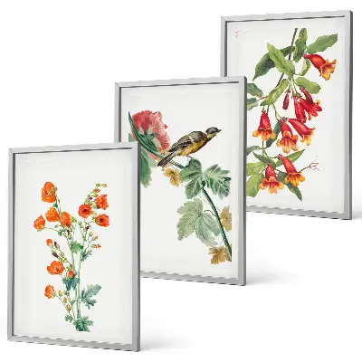 Set de tablouri decorative cu flori pictate și o pasăre