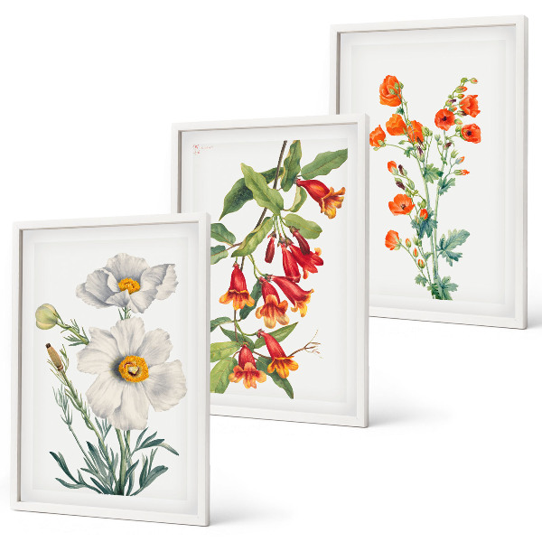 Set tablouri decorative Aranjamente florale retro
