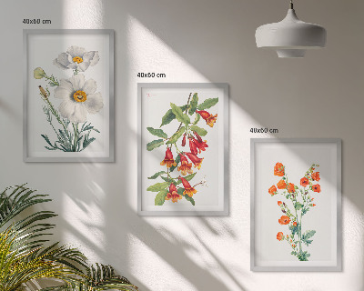 Set tablouri decorative Aranjamente florale retro