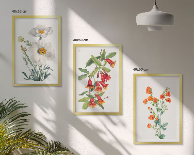 Set tablouri decorative Aranjamente florale retro