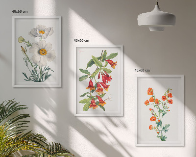 Set tablouri decorative Aranjamente florale retro