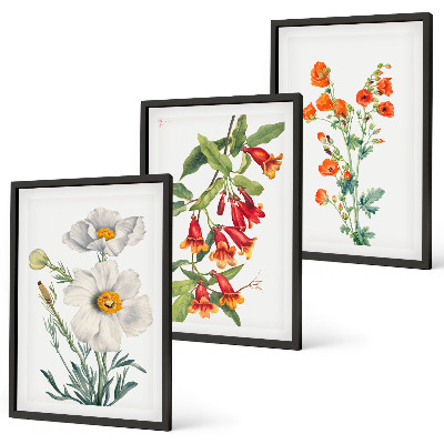 Set tablouri decorative Aranjamente florale retro