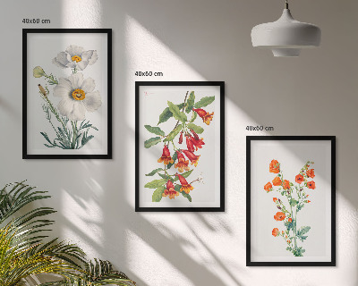 Set tablouri decorative Aranjamente florale retro