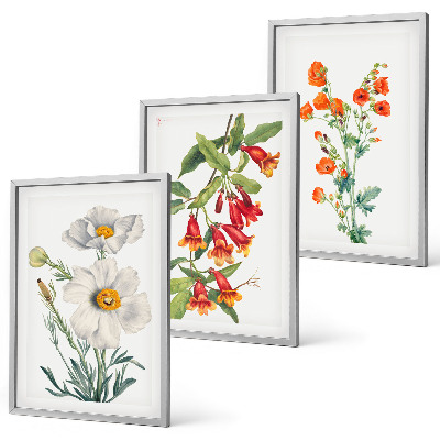 Set tablouri decorative Aranjamente florale retro