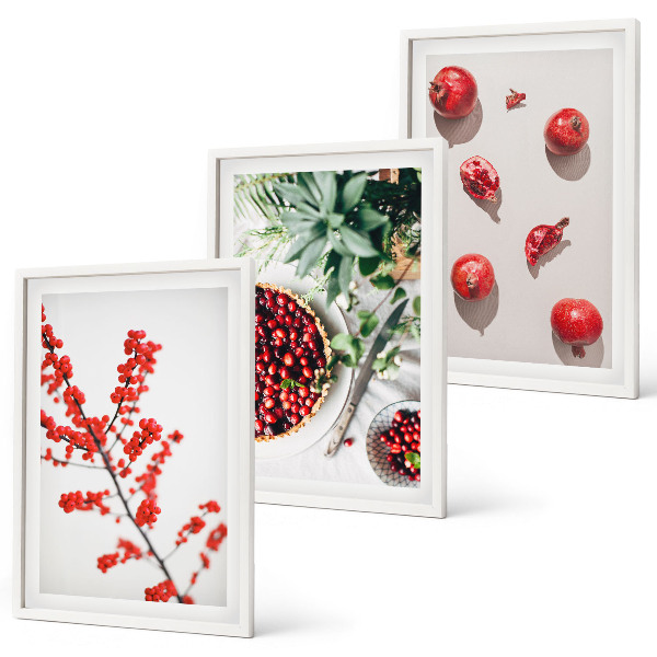 Set tablouri decorative Fructe roșii ale plantelor minimalistice