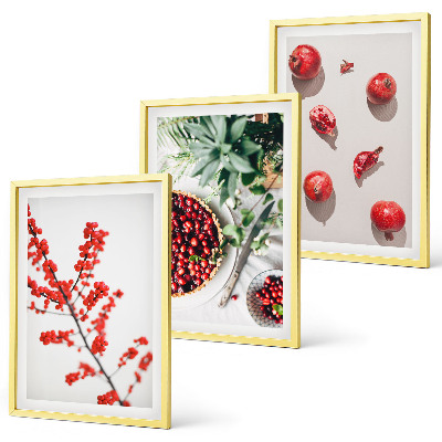 Set tablouri decorative Fructe roșii ale plantelor minimalistice