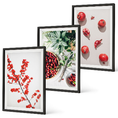 Set tablouri decorative Fructe roșii ale plantelor minimalistice
