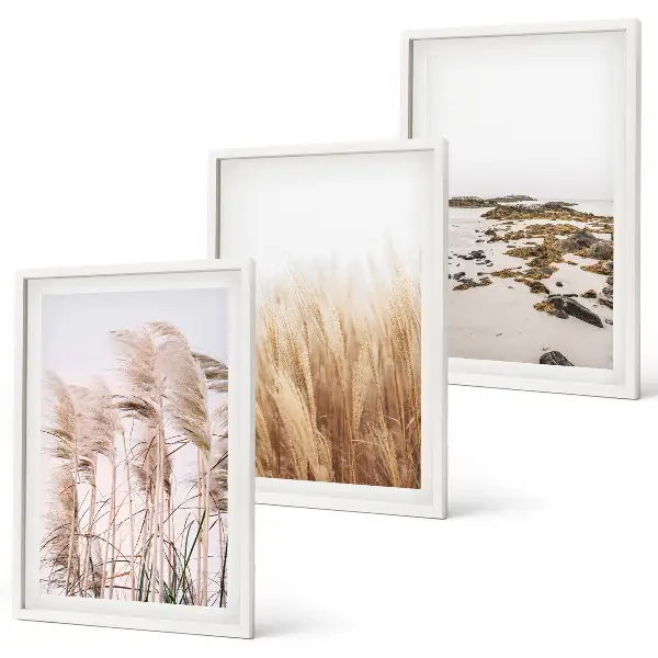 Set tablouri decorative cu câmpuri de iarbă de pampas și plajă boho