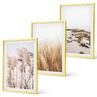 Set tablouri decorative cu câmpuri de iarbă de pampas și plajă boho