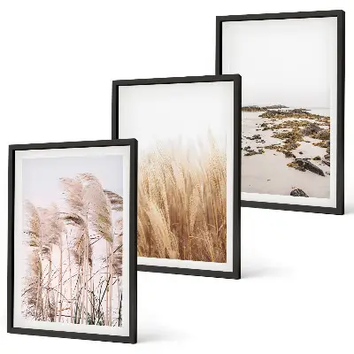Set tablouri decorative cu câmpuri de iarbă de pampas și plajă boho