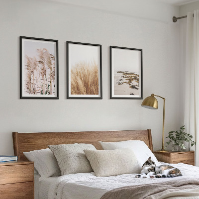 Set tablouri decorative Câmpuri de iarbă de pampas și o plajă boho