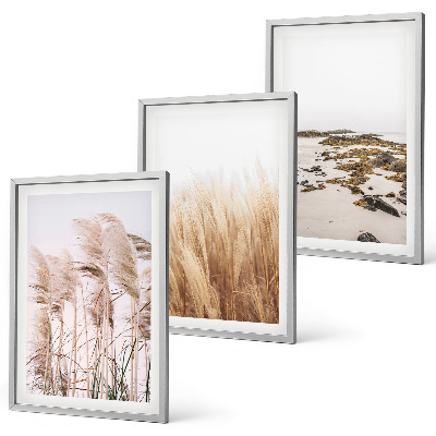 Set tablouri decorative Câmpuri de iarbă de pampas și o plajă boho